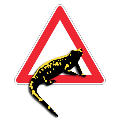 Warnschild Feuersalamander