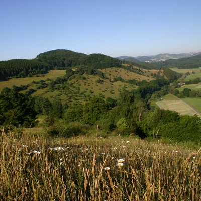 Diemeltal bei Obermarsberg