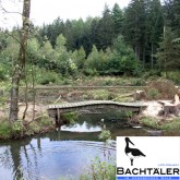 Gewässerrenaturierung im Arnsberger Wald mit Logo