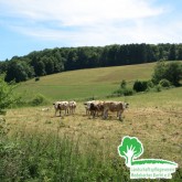Rinderweide mit Logo Landschaftspflegeverein