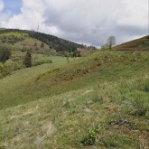 Hilmesberg