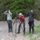Auf der Suche nach neuen Freiwilligen