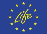 LIFE Logo